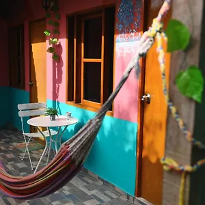  Guest house New Casa Dora Colombia